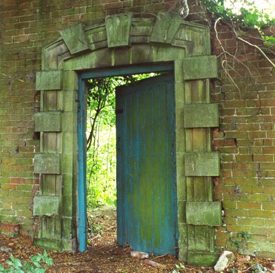 blue door to nature